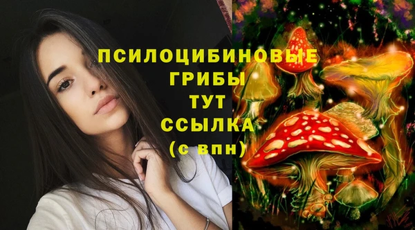 первитин Алзамай