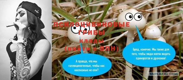 дмт Алексин